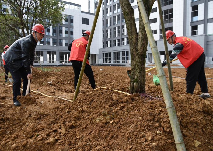 1678757716679662.png 圖片6.png