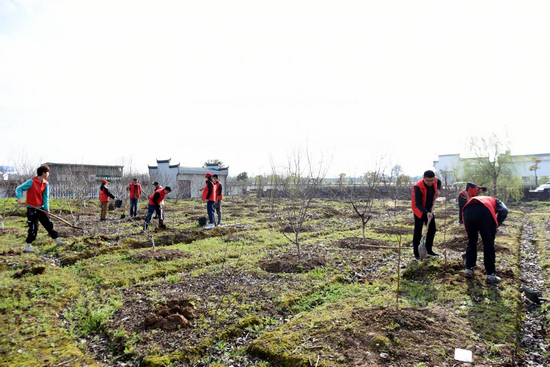 1683358428284779.png 圖片5.png