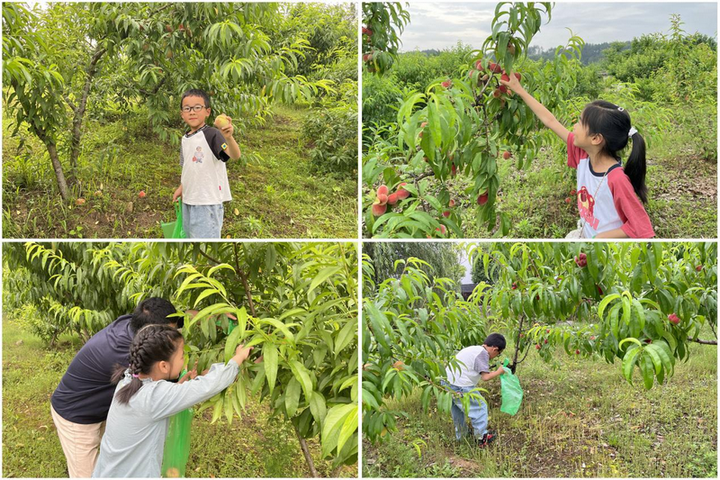 1685517812569610.png 圖片1.png