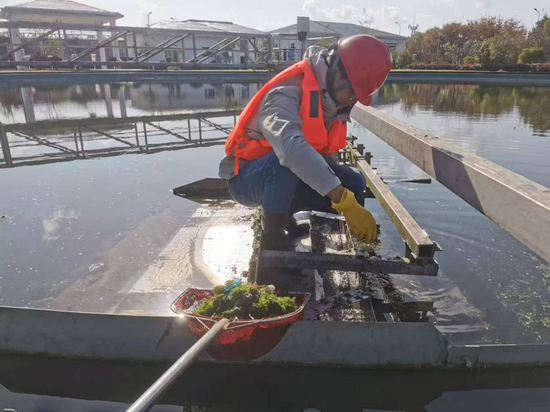 1738997618993799.png 圖片2.png