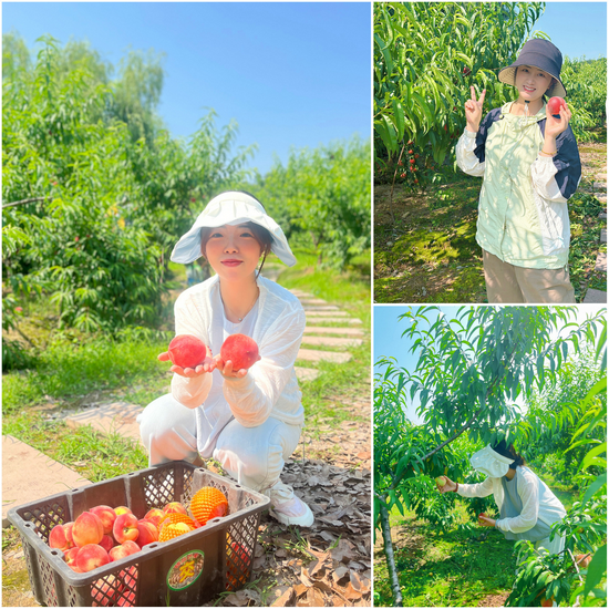 1748612292656502.png 圖片3.png